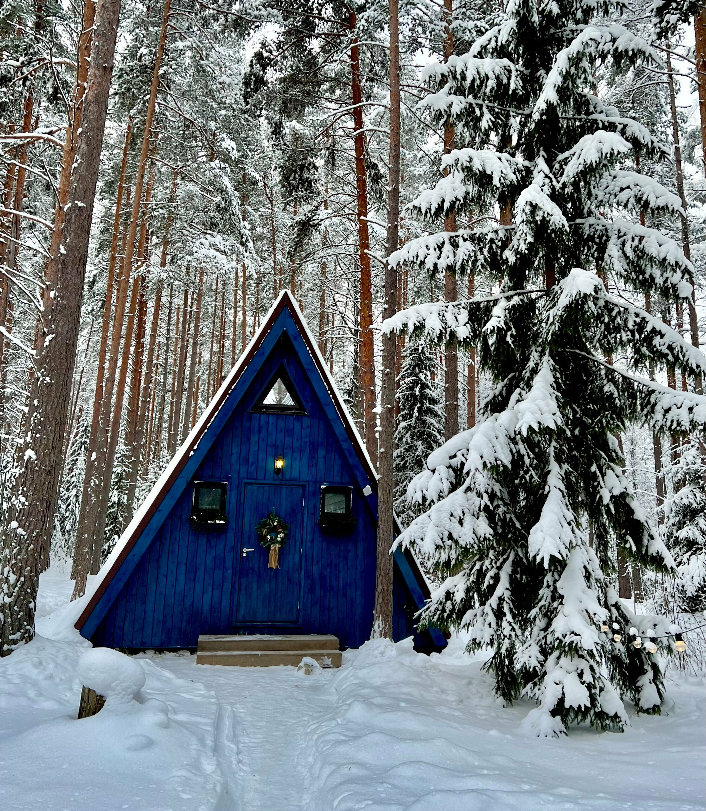 Синий домик без купели (реновация май 2025)