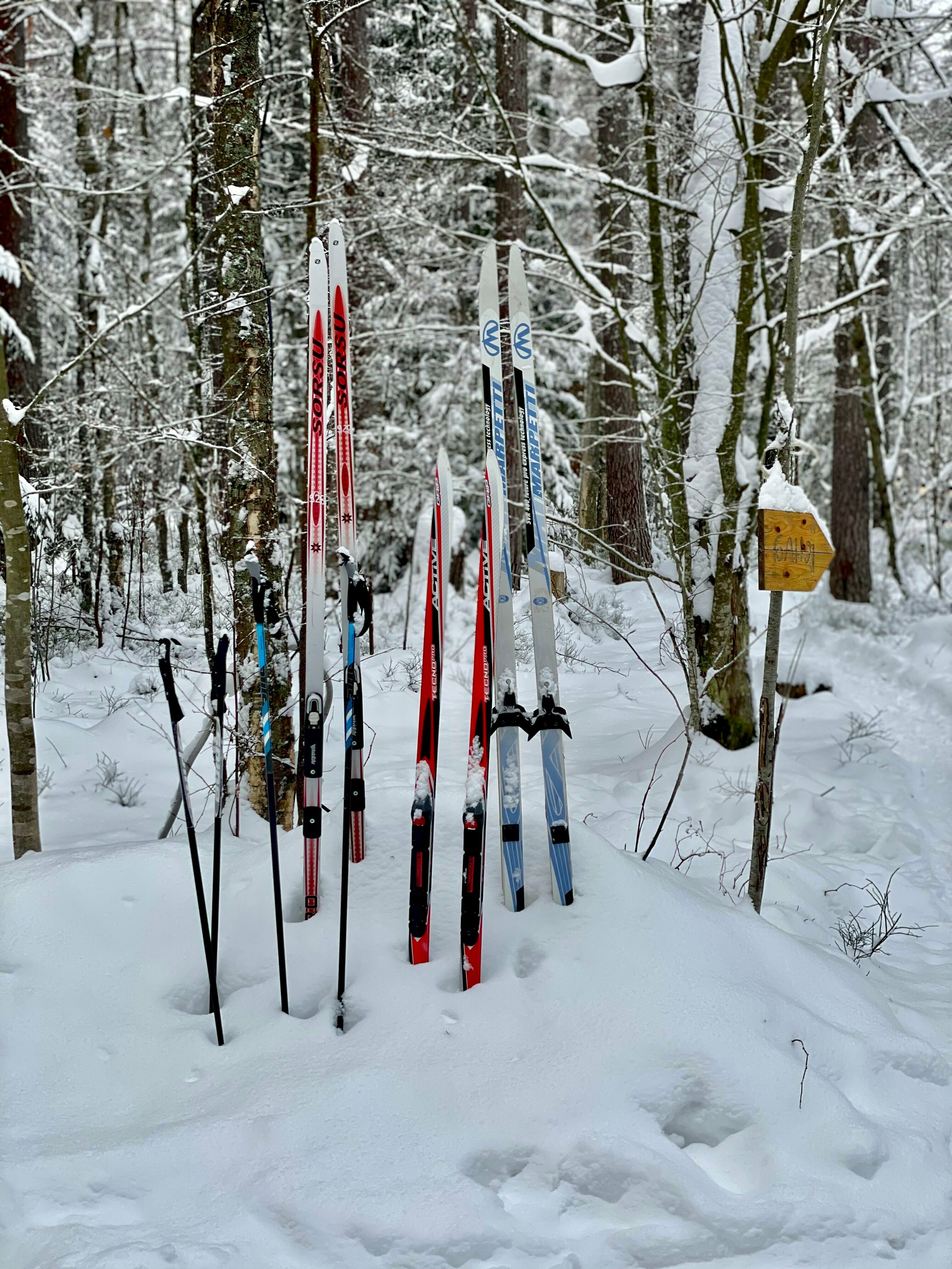 Красный домик с купелью