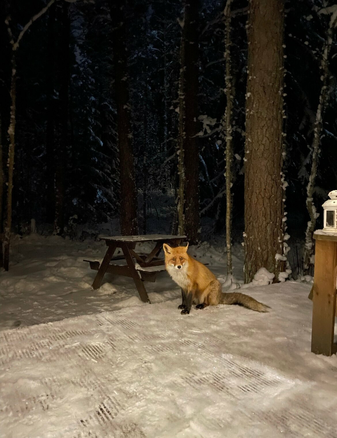 Серый домик с купелью