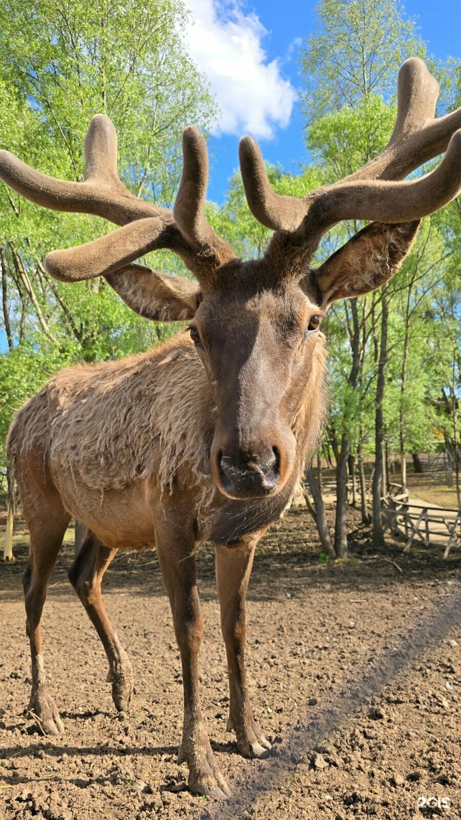 Коттедж №7 на 12+2 мест с беседкой и мангальной зоной
