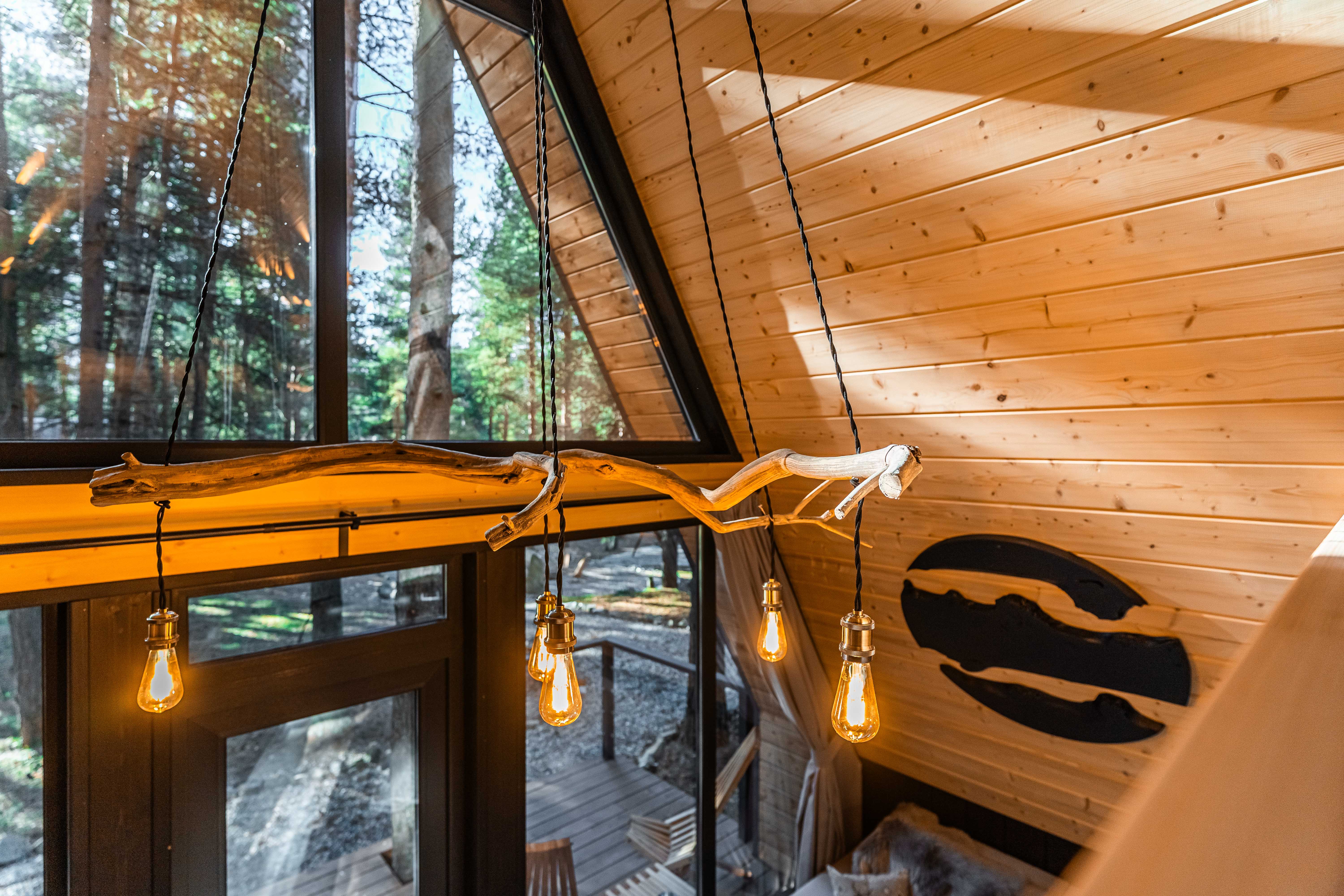 Чум Стандарт