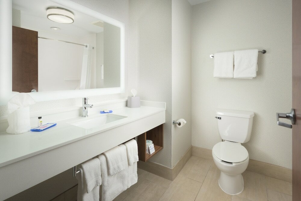 Suite, 1 King Bed