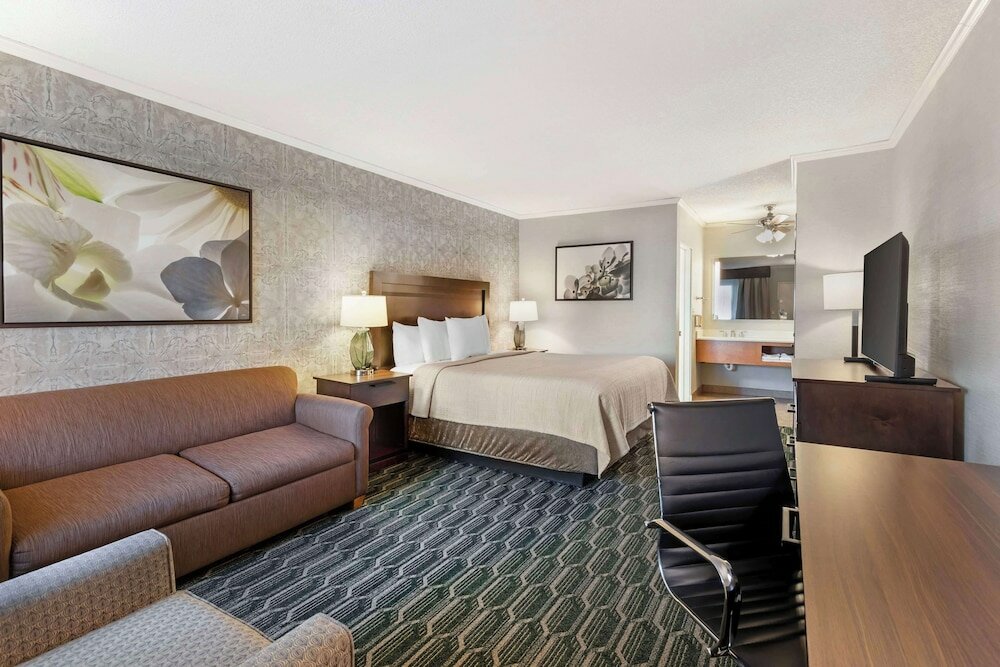 Deluxe Room, 1 King Bed, Non Smoking, Refrigerator & Microwave (with Sofabed)