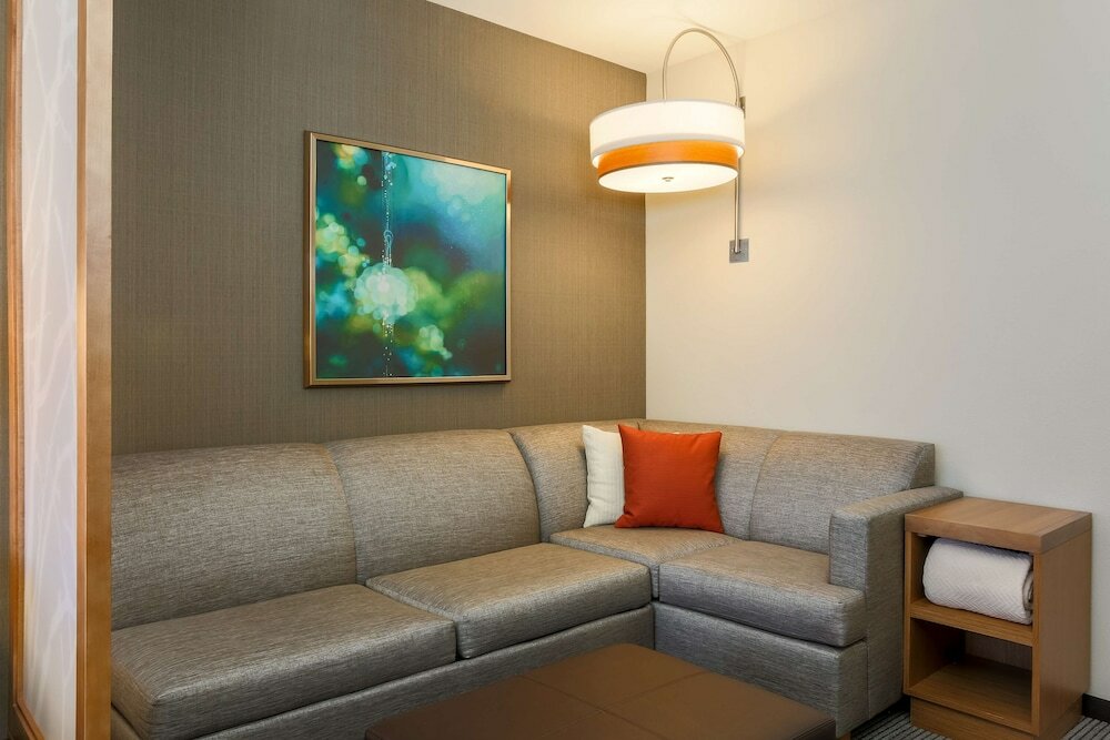 Suite, 1 King Bed with Sofa bed