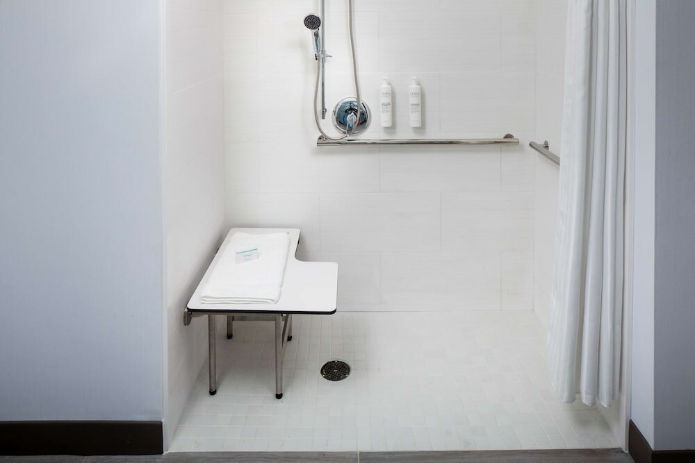 Room, 1 King Bed, Accessible (Roll-In Shower)