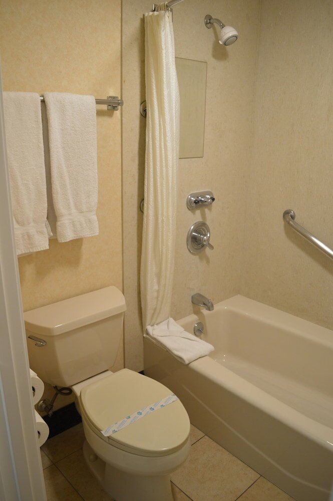 Deluxe Room, 1 King Bed, Accessible