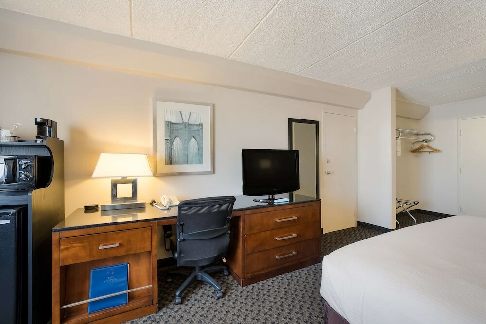 Standard Room, 1 King Bed, Refrigerator & Microwave, City View