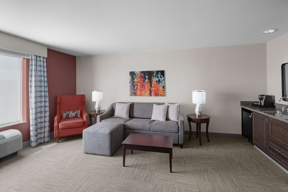 Suite, 1 King Bed, Accessible