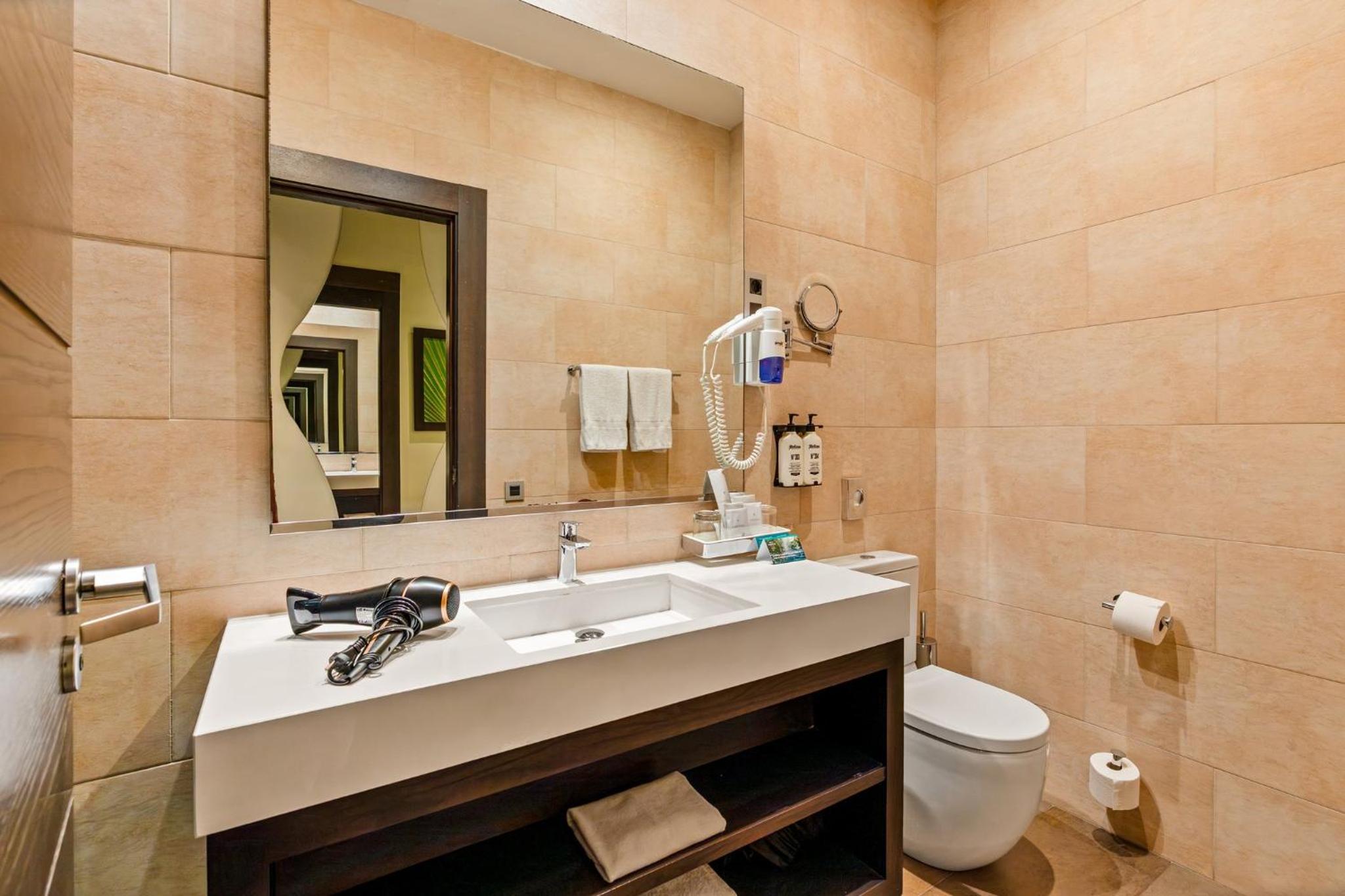 Premium King Room with Pool View