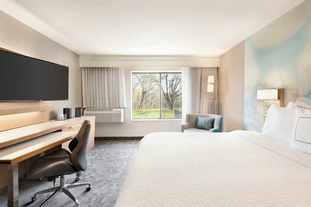 Room, 1 King Bed with Sofa bed (Mobility Accessible, Roll-In Shower)
