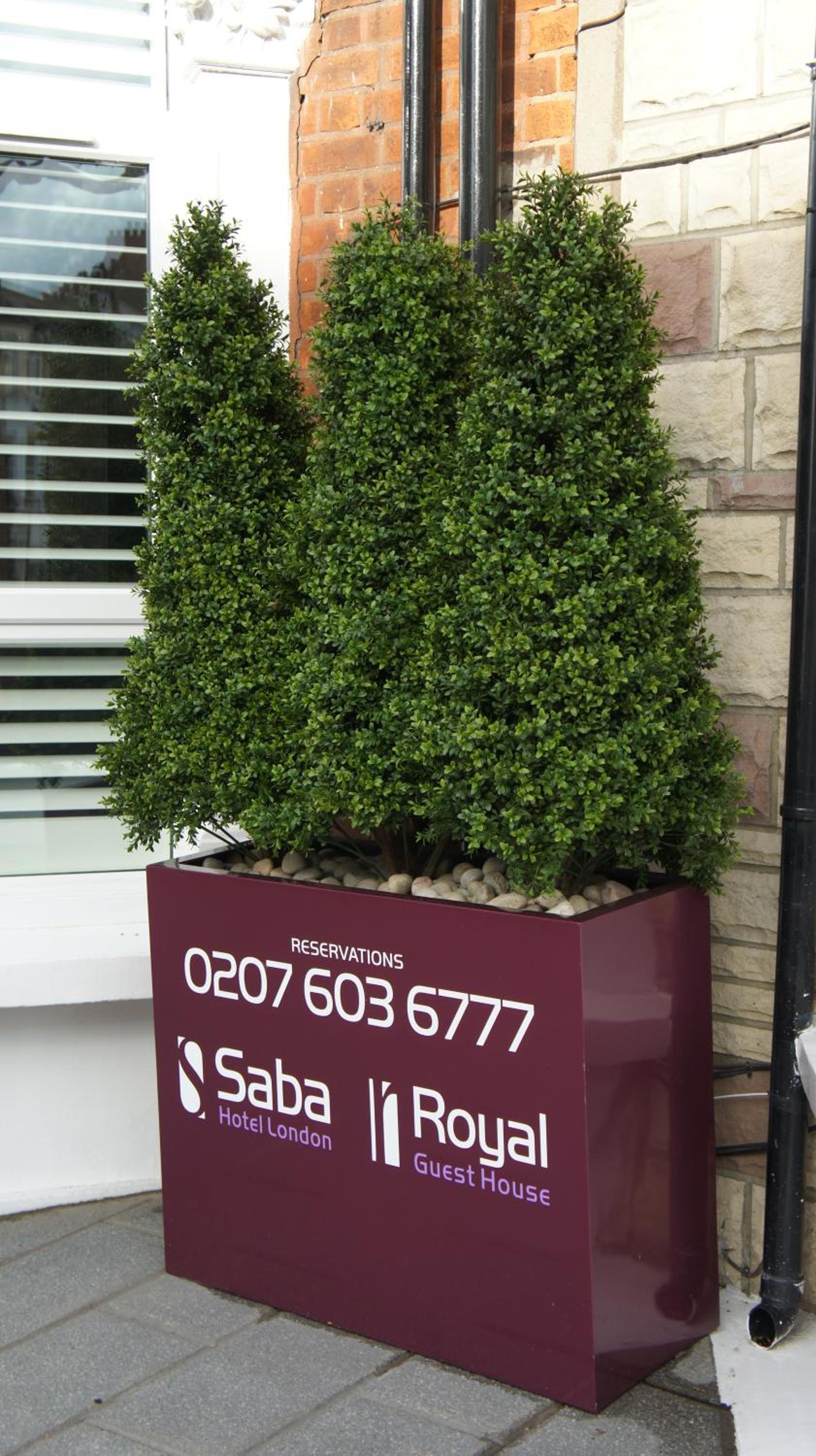 Deluxe Double Studio