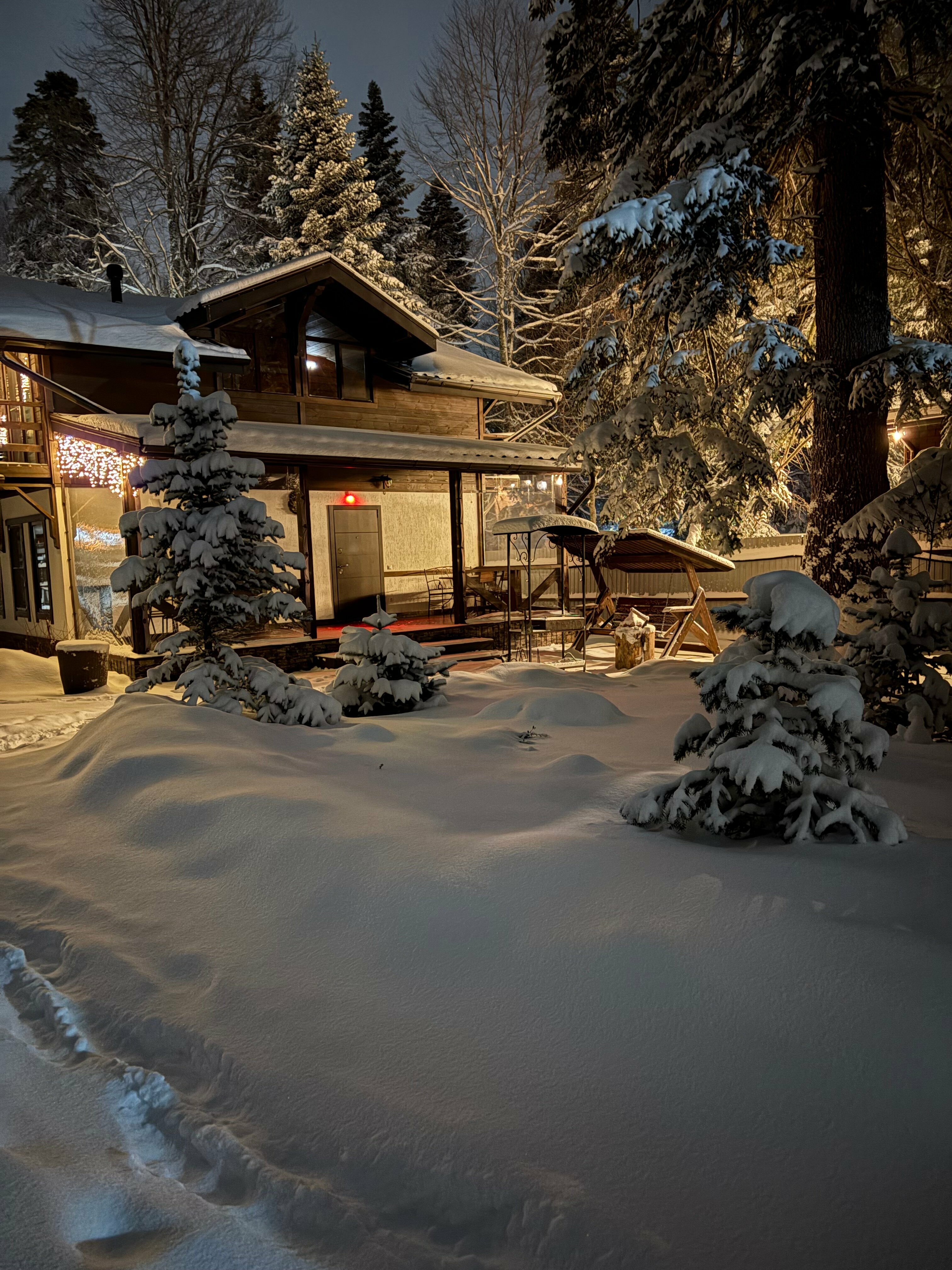 Шале с видом на горы №2