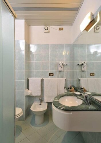 Двухместный номер с 1 двуспальной кроватью в Hotel Ausonia