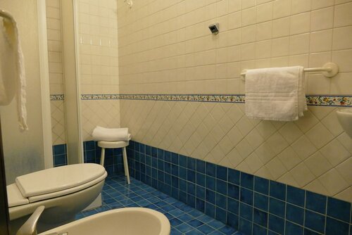 Одноместный номер в Hotel Nuovo Rebecchino 