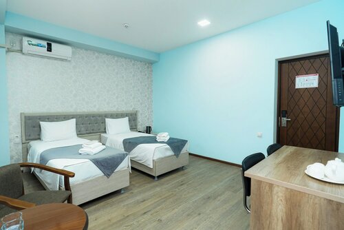 Двухместный номер «Делюкс» с 2 односпальными кроватями в Diamond Hotel Tashkent