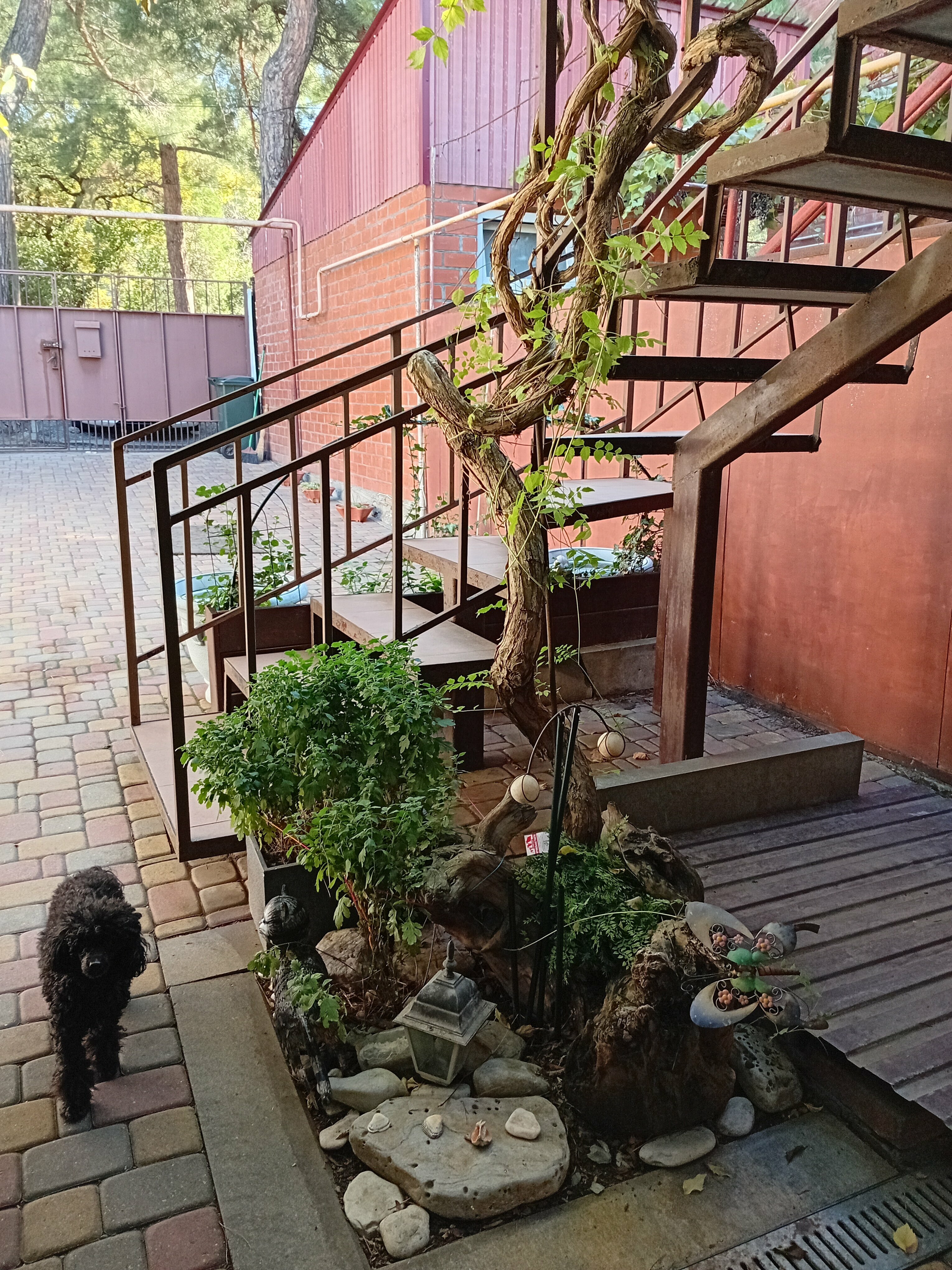 Трехместный номер с видом на горы