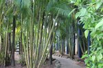 Апартаменты (Sunset) в Bohemia Resort Cairns