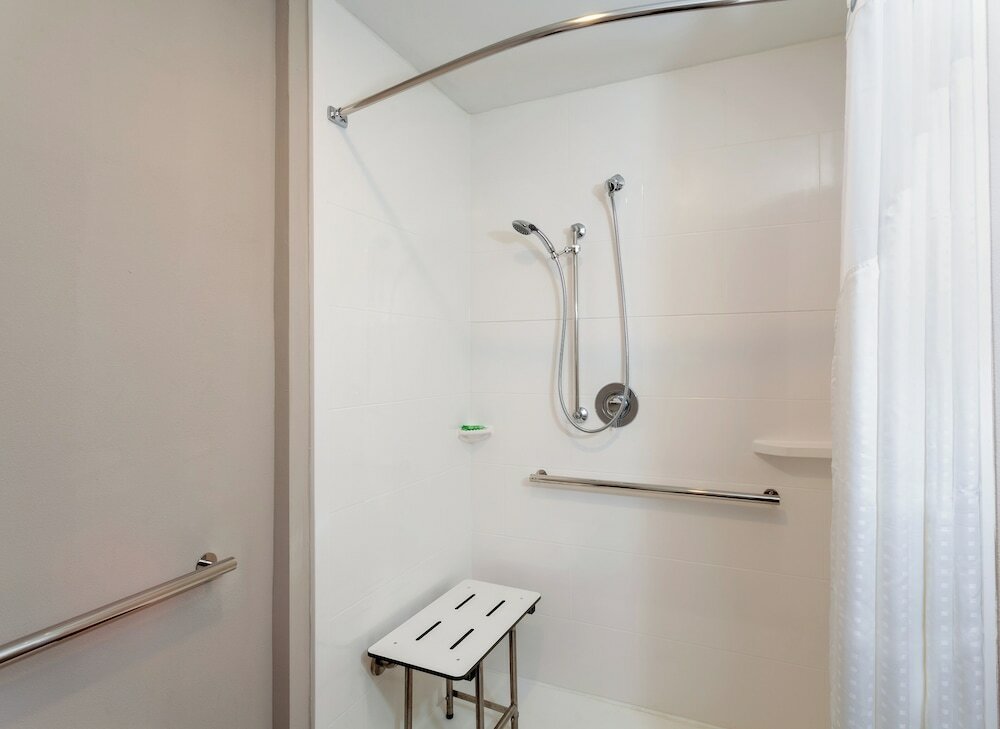 Standard Room, 1 King Bed with Sofa bed, Roll-in Shower (Accessible)