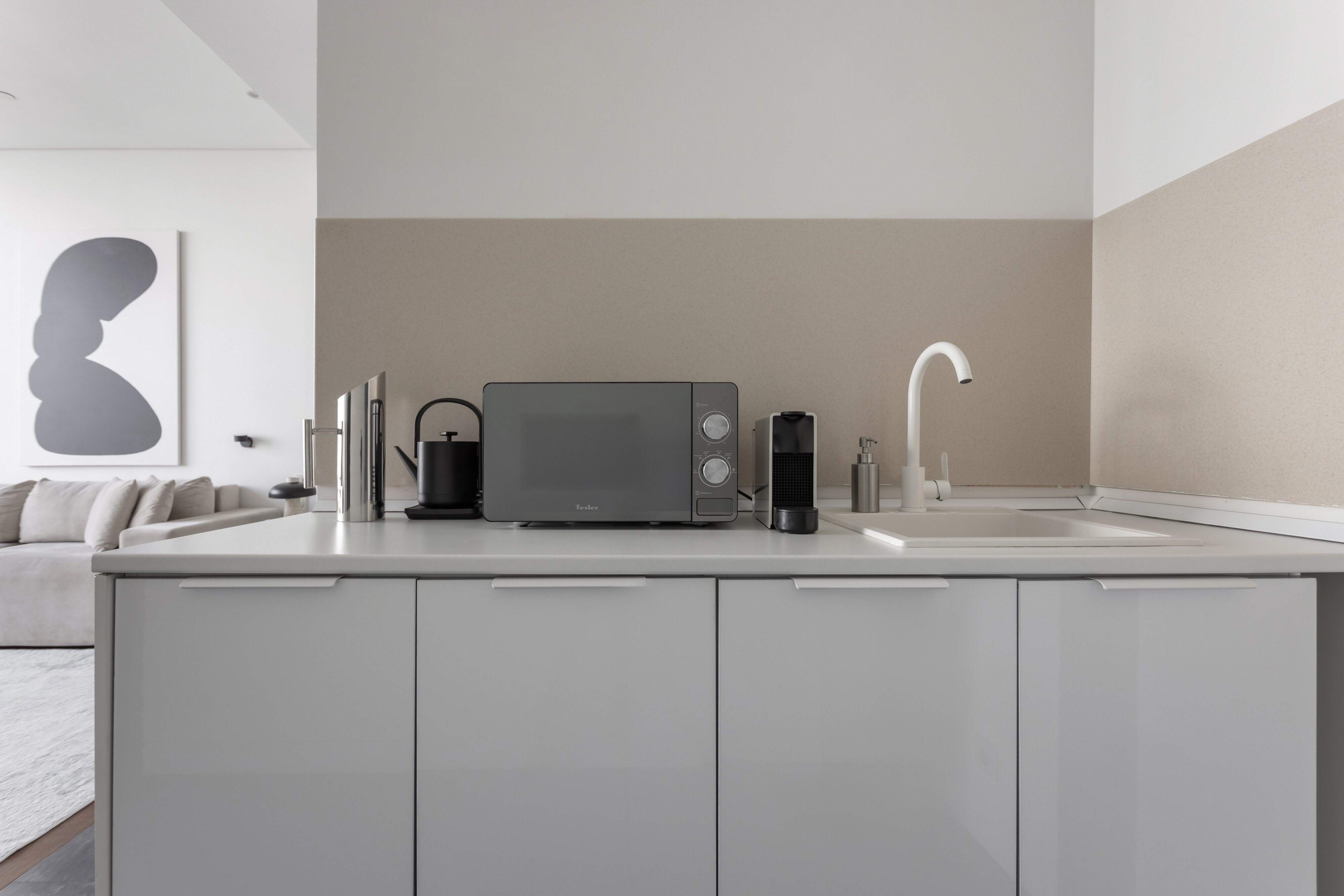 Panoramic Studio