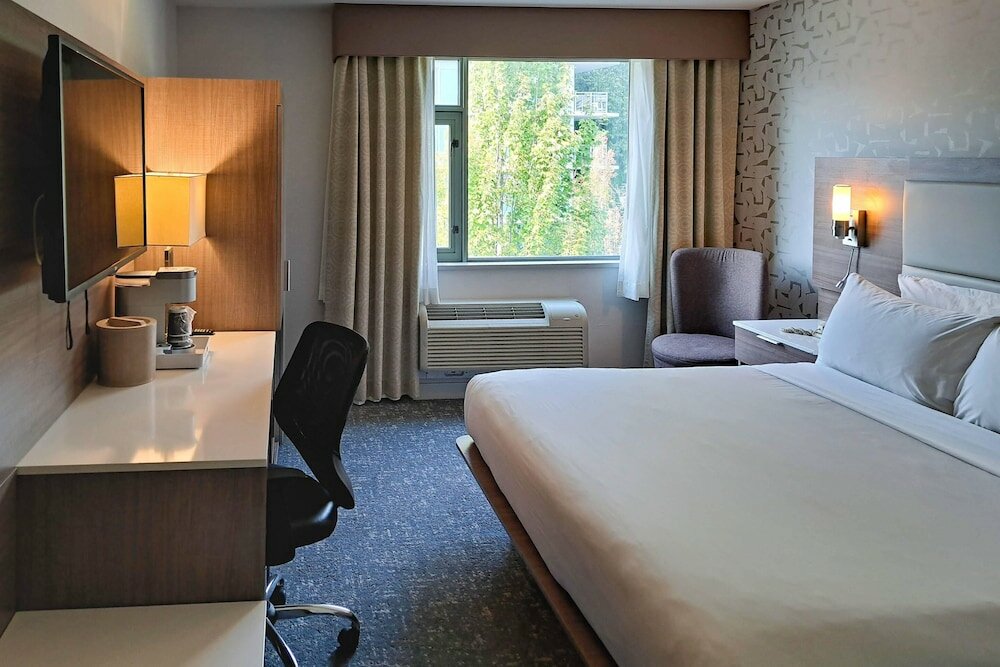 Business Room, 1 King Bed, Non Smoking (Upgrade)