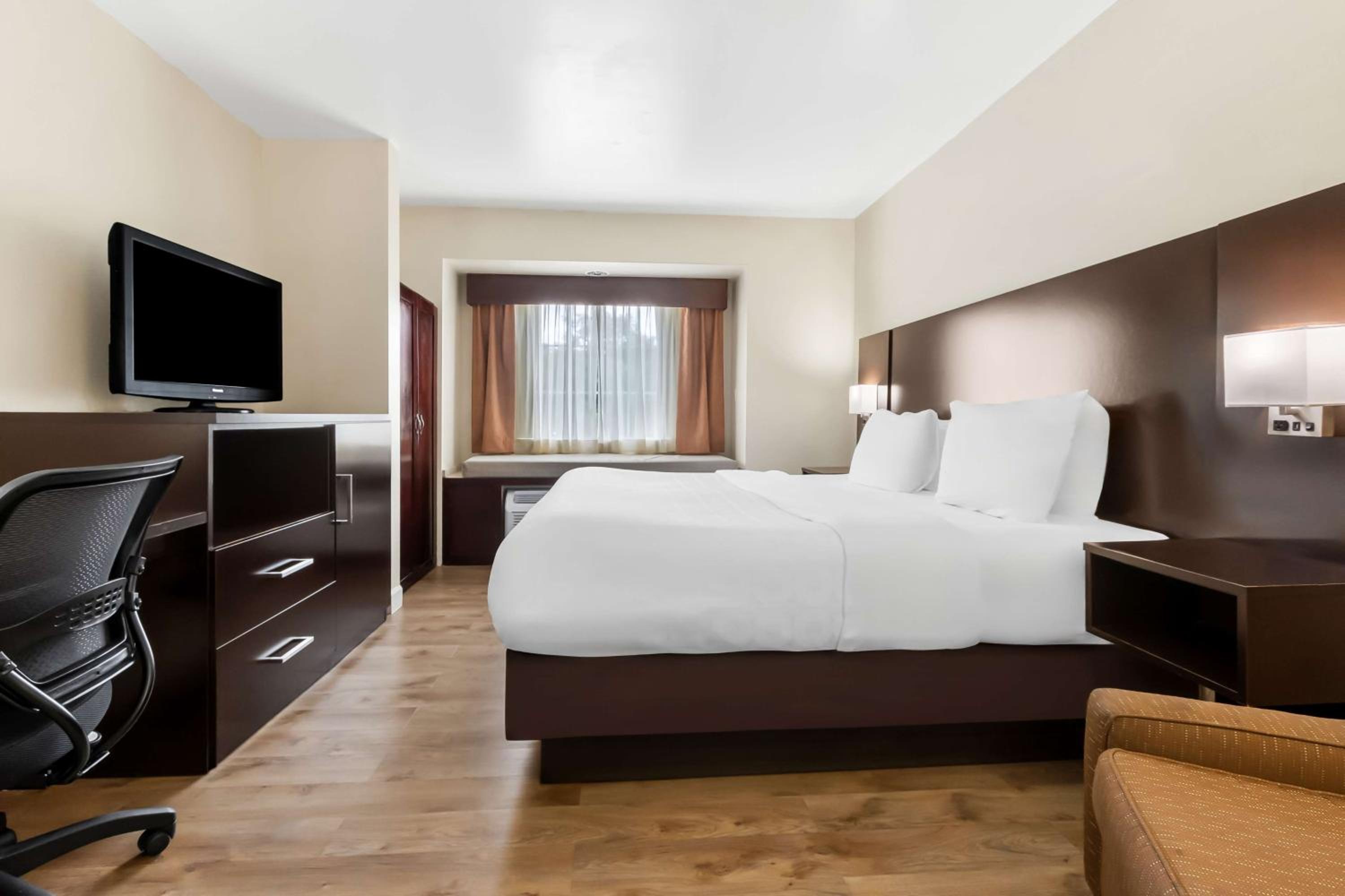 King Room - Non-Smoking