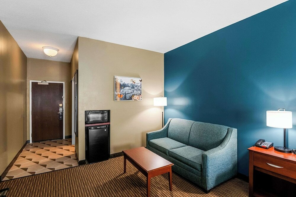 Standard Room, 1 King Bed with Sofa bed, Non Smoking