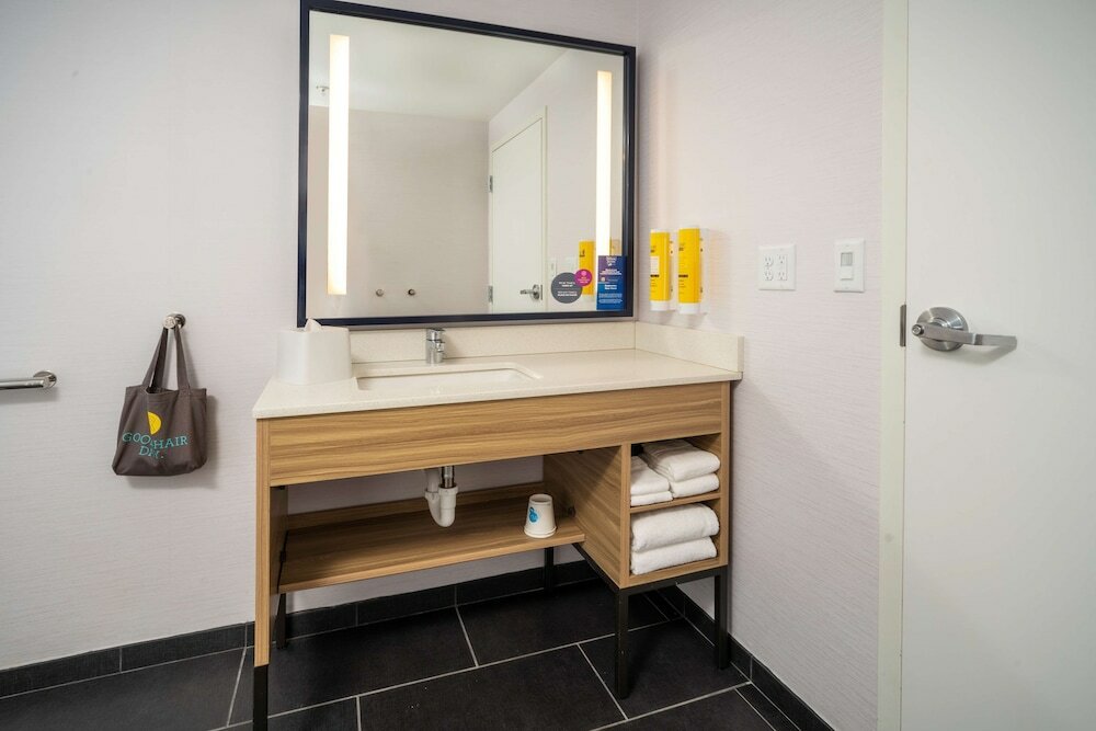 Room, 1 King Bed, Accessible (Roll-In Shower)