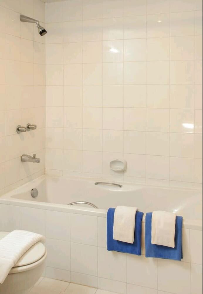 Double Room Single Use, 1 King Bed