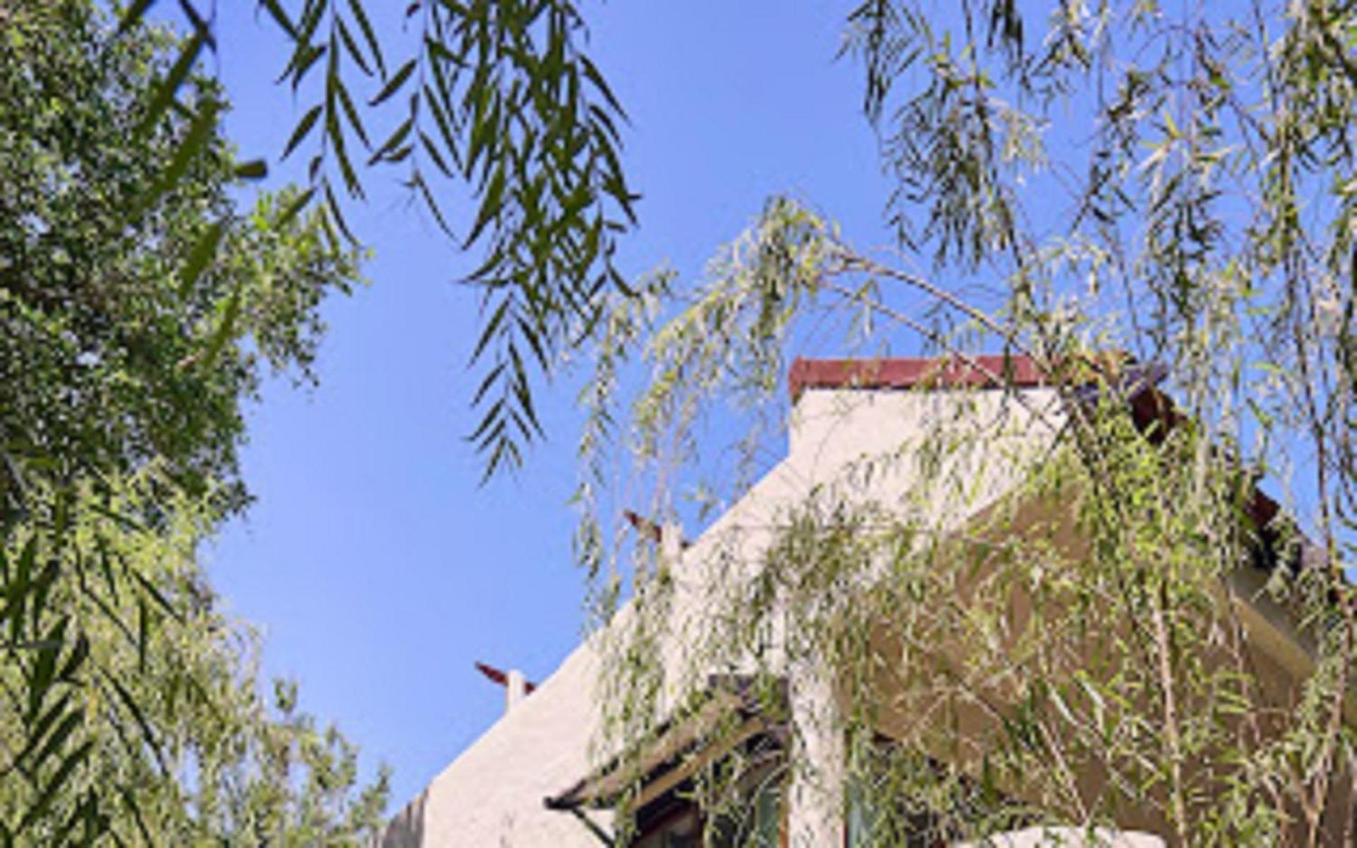 Garden Boutique Double or Twin Room