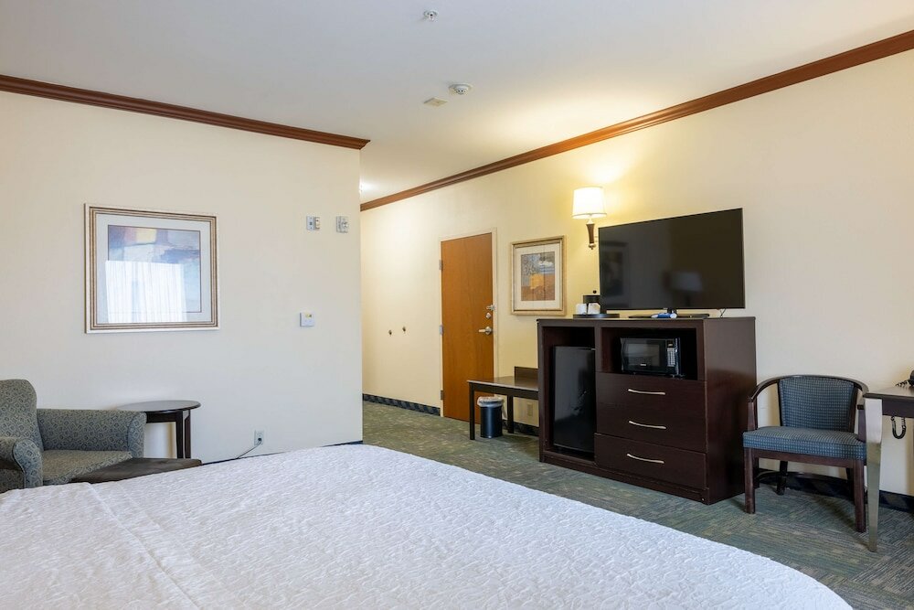 Room, 1 King Bed, Accessible, Bathtub
