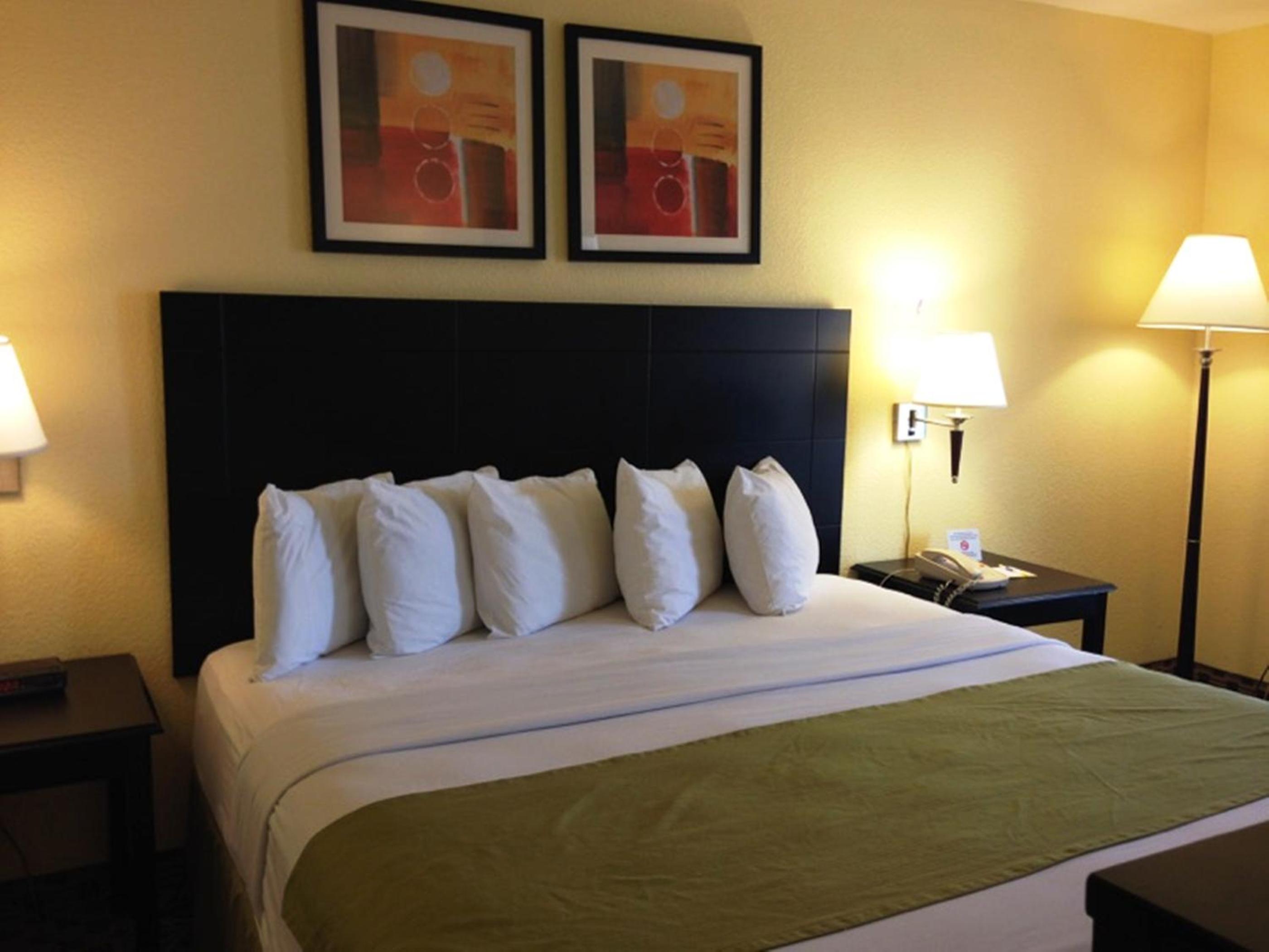 One-Bedroom Business King Suite - Non-Smoking