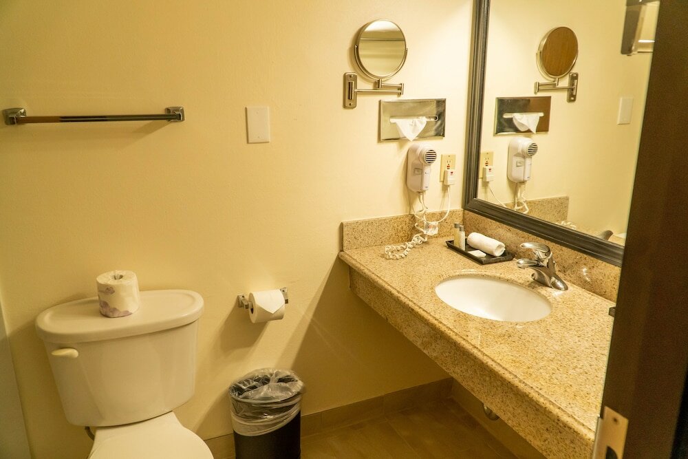 Executive Room, 1 King Bed, Non Smoking