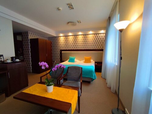 Standard Double Room в Hotel Zamek Centrum