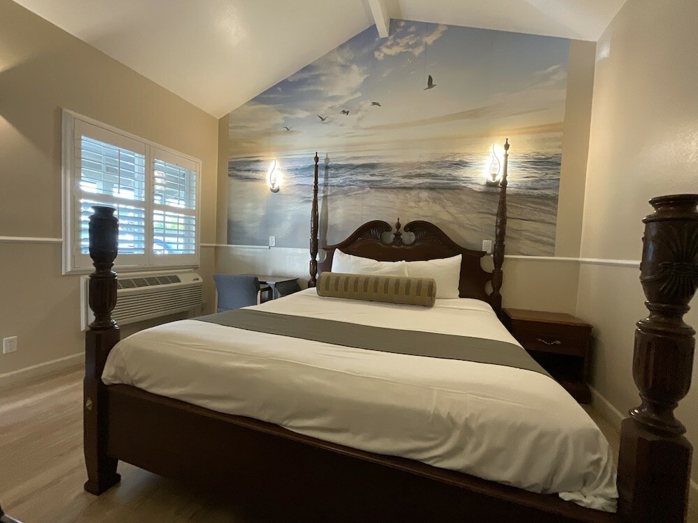 Room, 1 King Bed