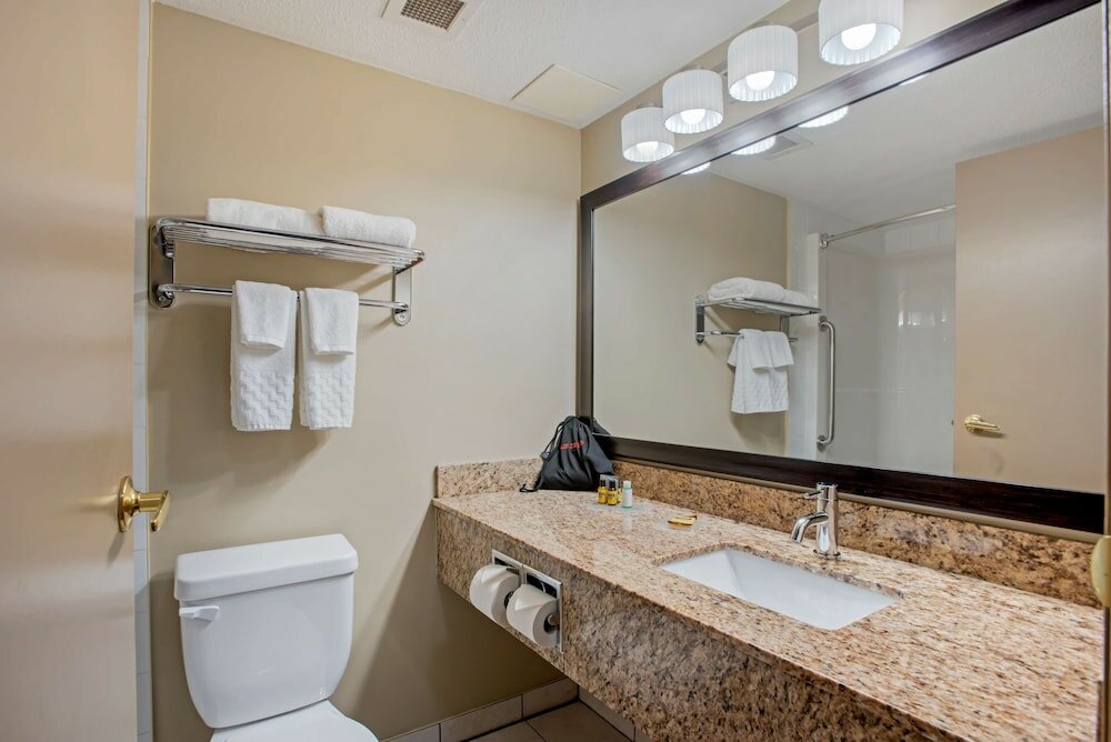 Suite, 1 King Bed, Non Smoking, Jetted Tub (with Sofabed)