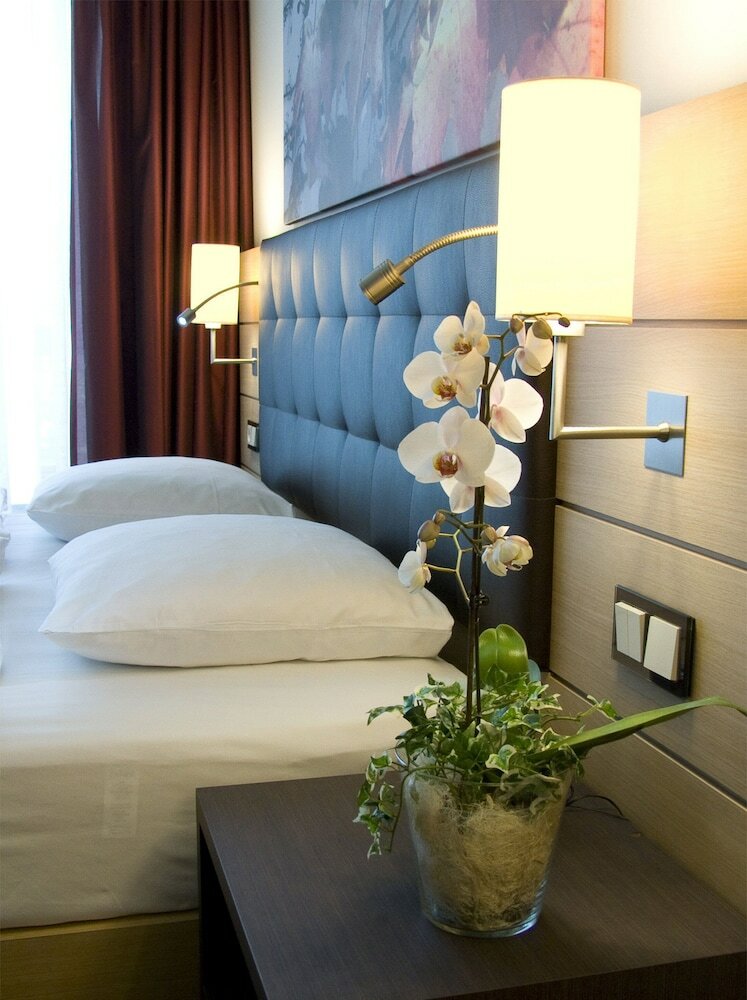 Studio, 1 King Bed