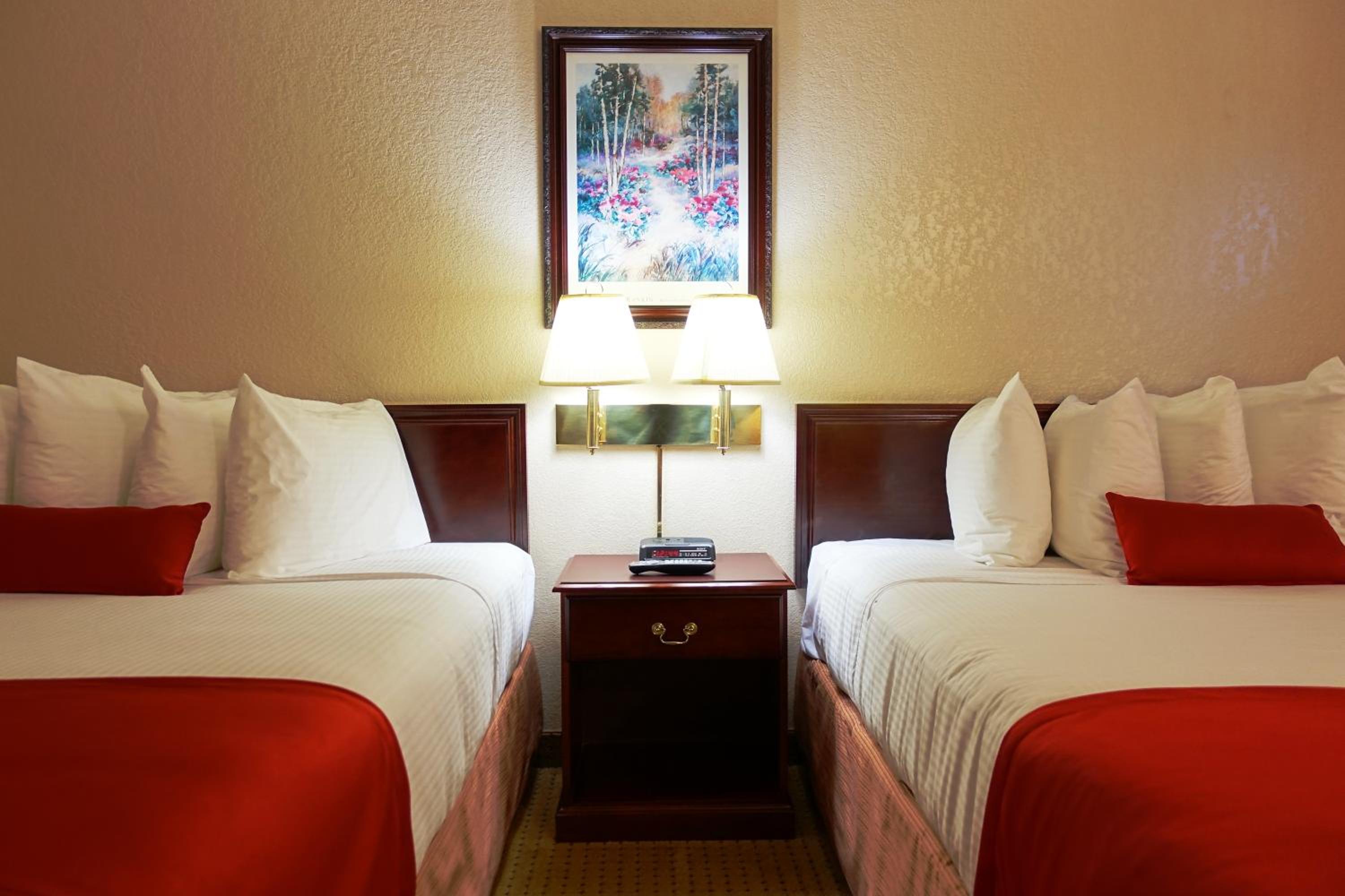 Queen Room with 2 Queen Beds - Non Smoking