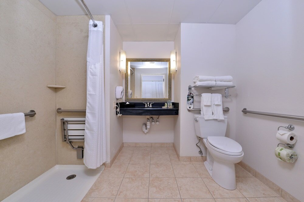 Suite, 1 King Bed, Mobility Accessible (Roll-In Shower)