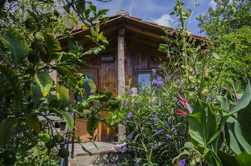 Бунгало, 1 двуспальная кровать «Квин-сайз» в Agora Pansiyon