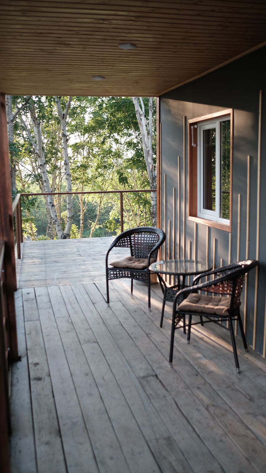 Дом с видом на лес