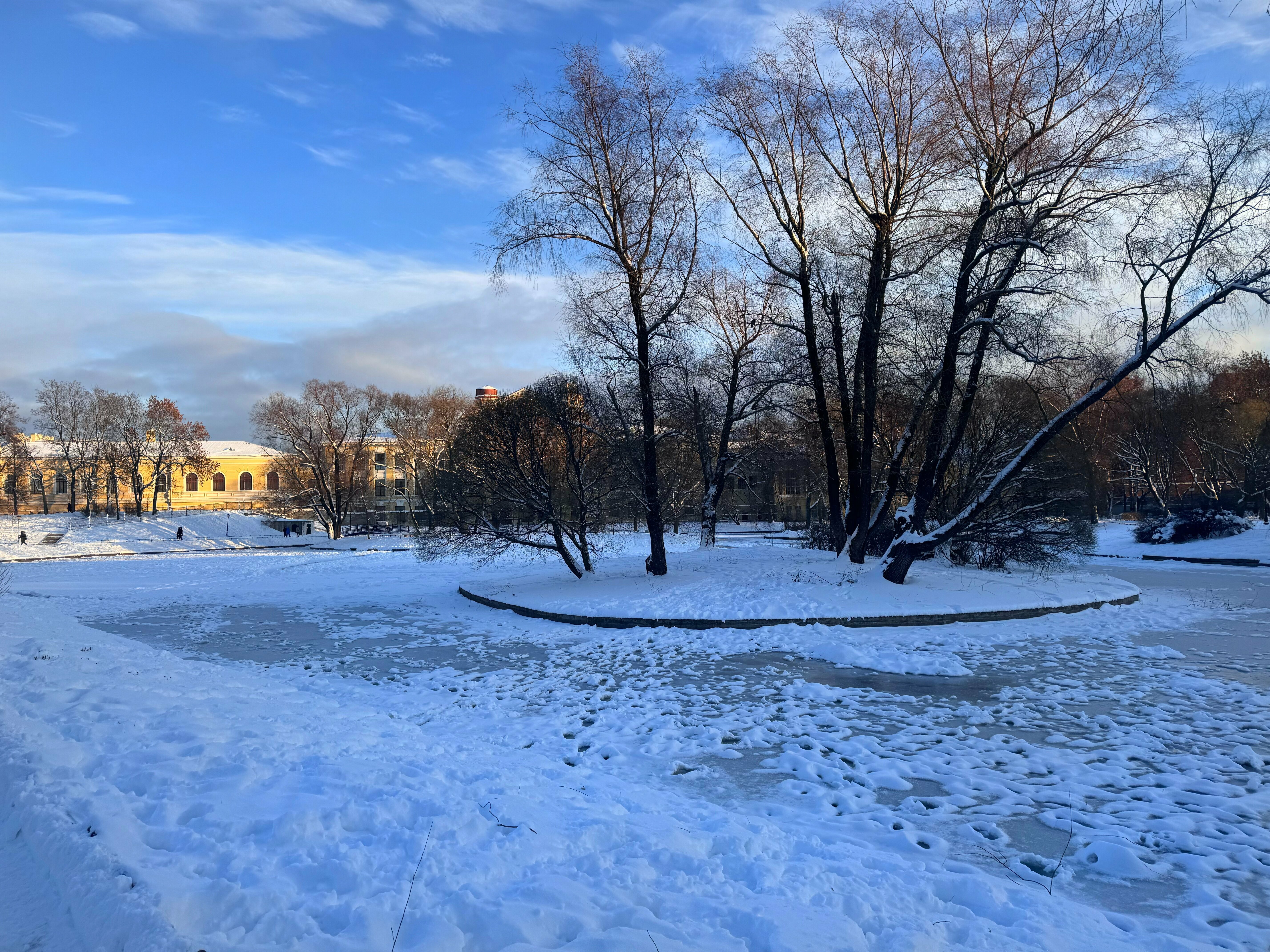 Двухместный номер с 1 кроватью и видом на парк