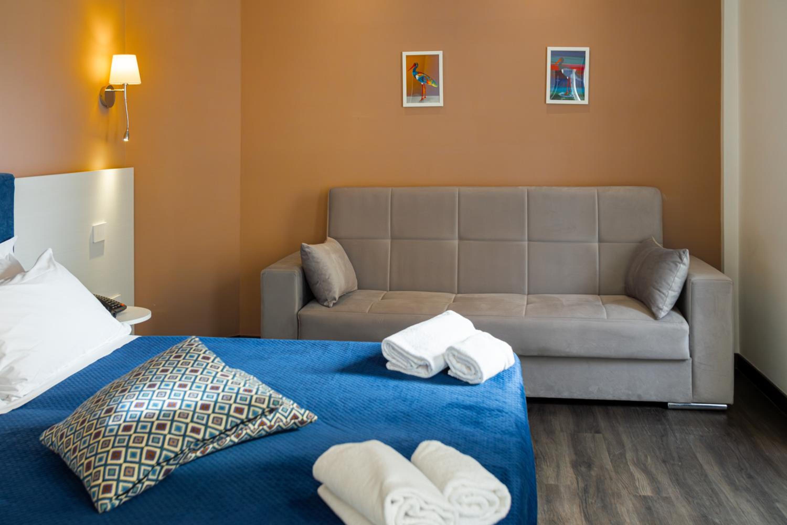 Deluxe Double or Twin Room