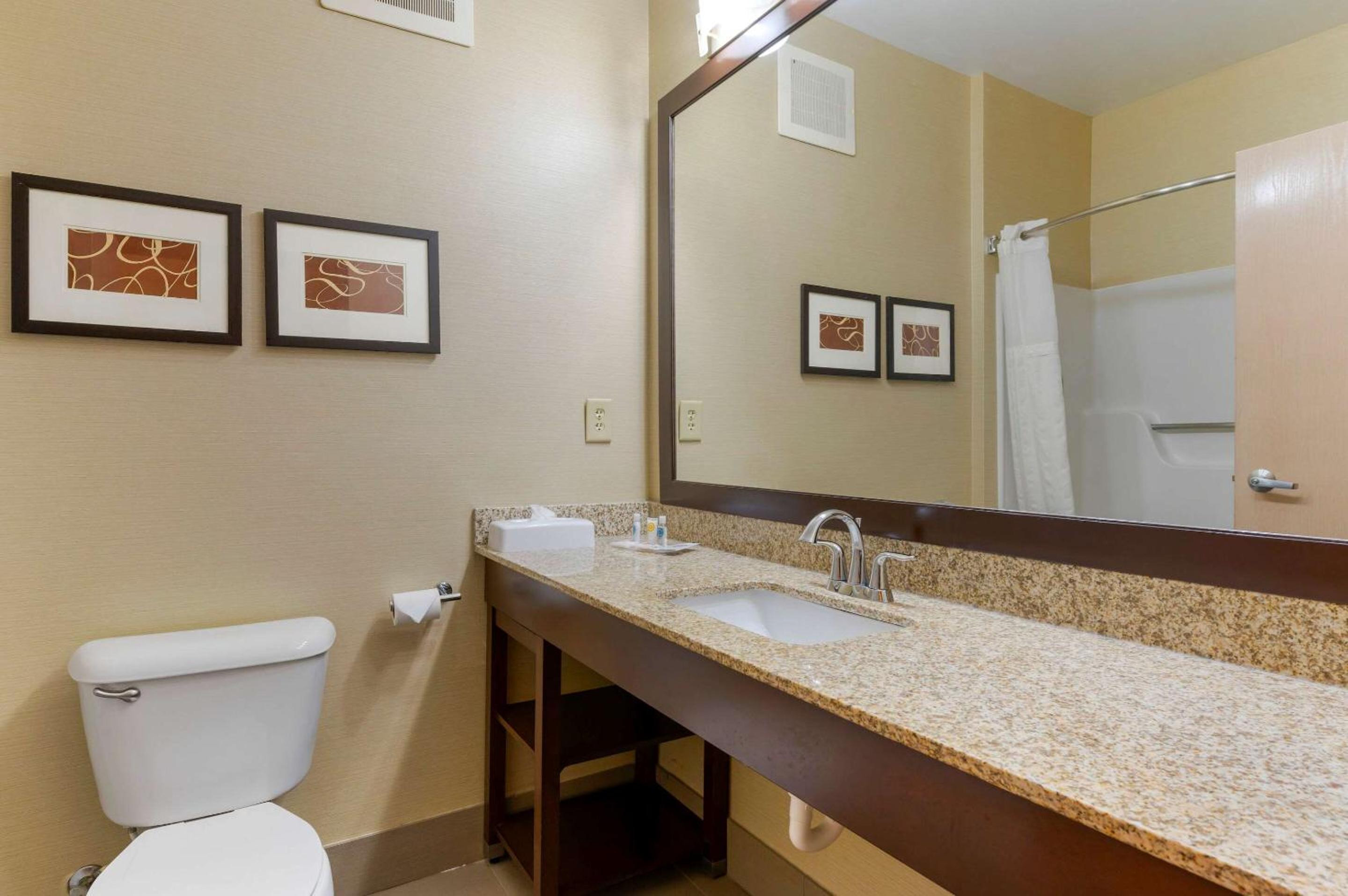 King Suite with Sofa Bed- Non Smoking