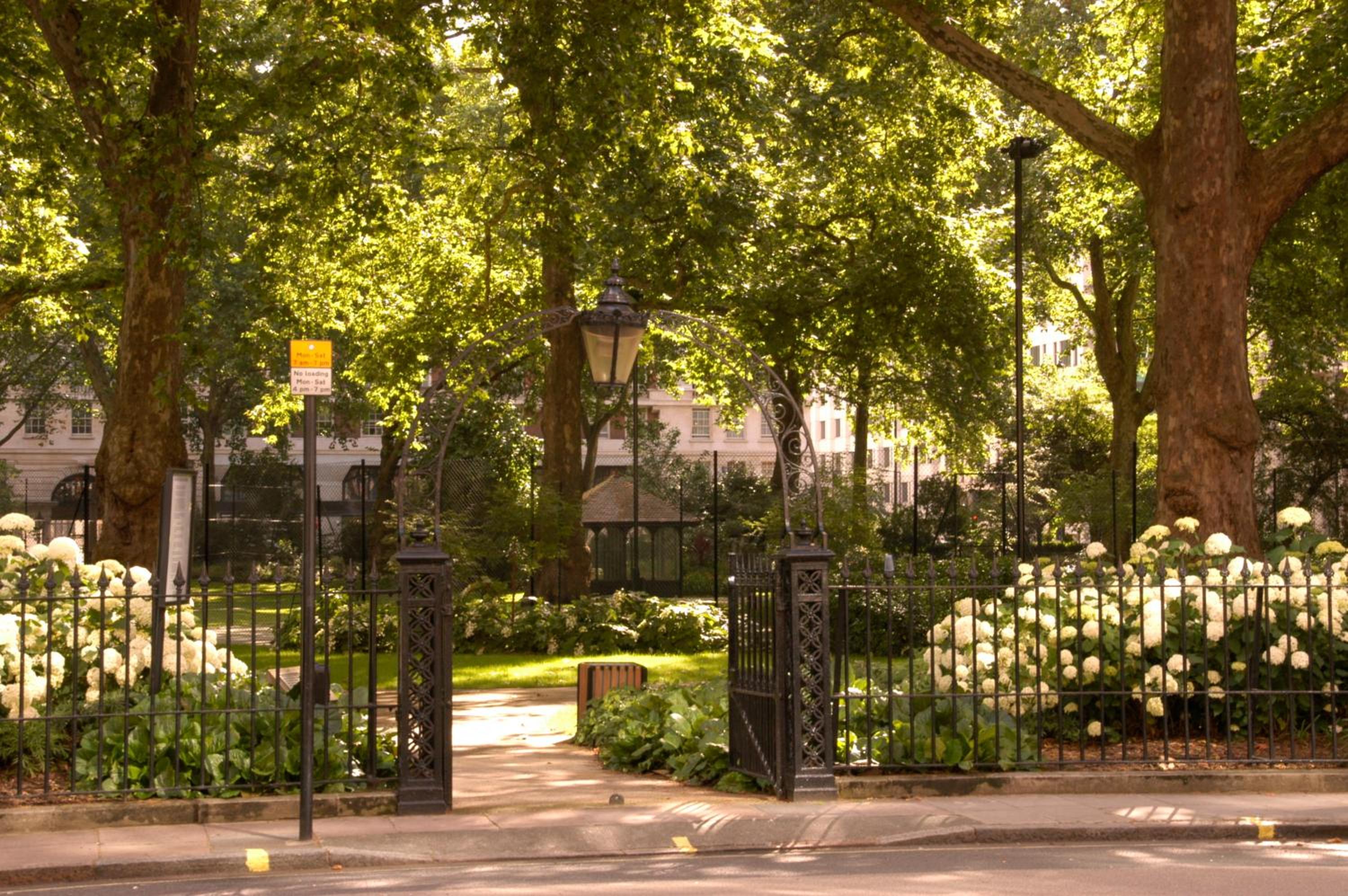 King Room with Garden View