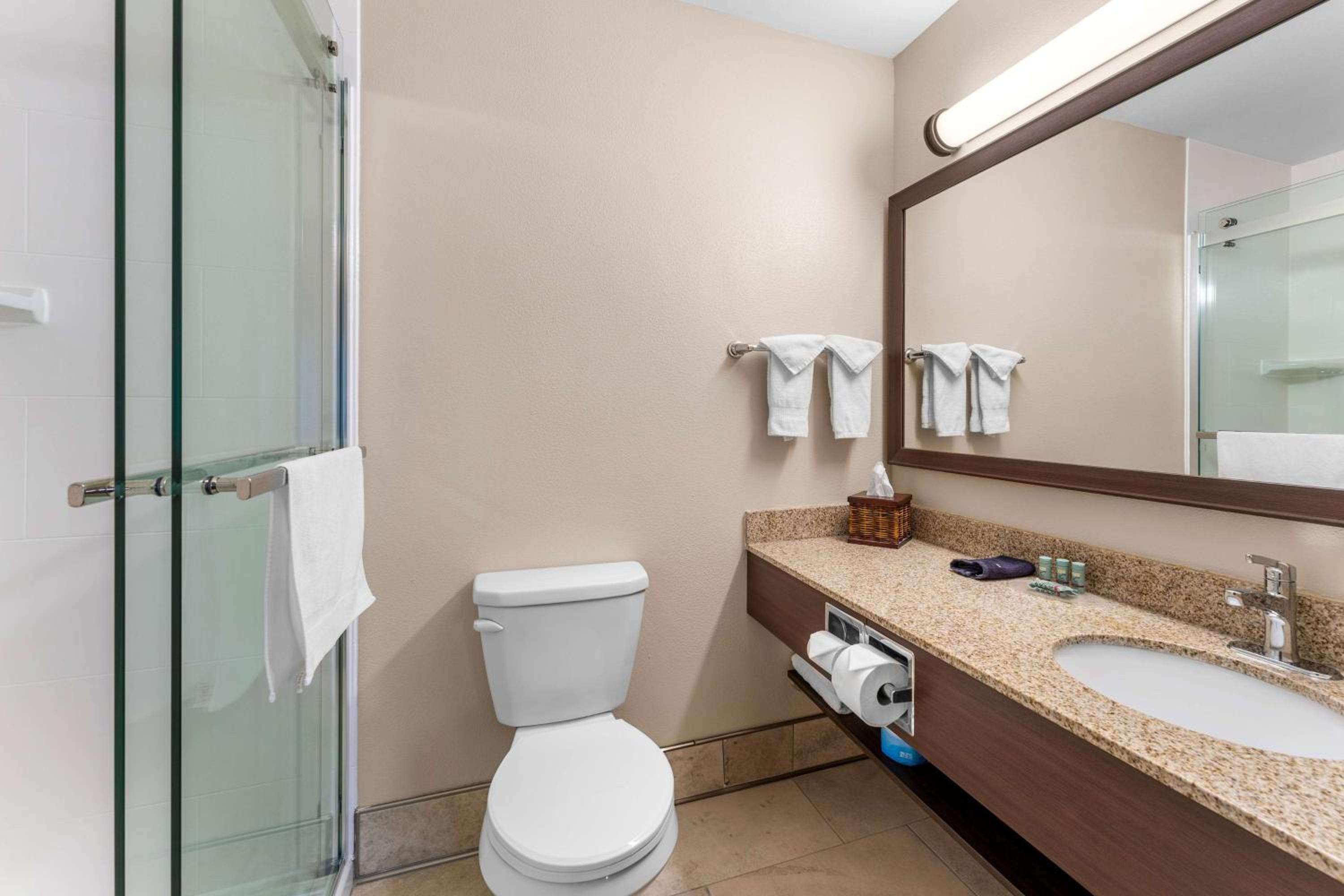Queen Suite with Sofa Bed and Kitchenette - Non-Smoking