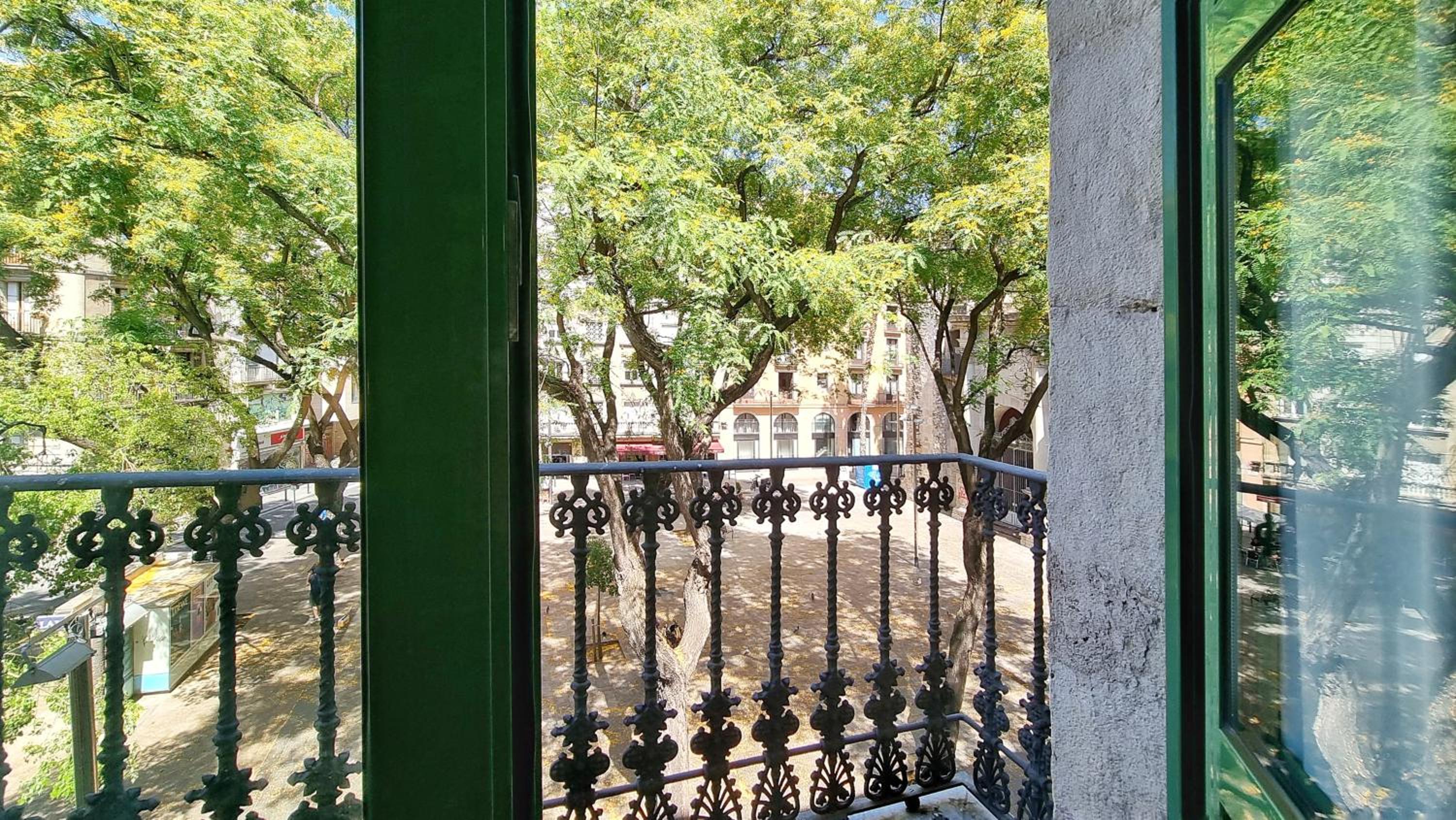 Comfort Triple Room with External View