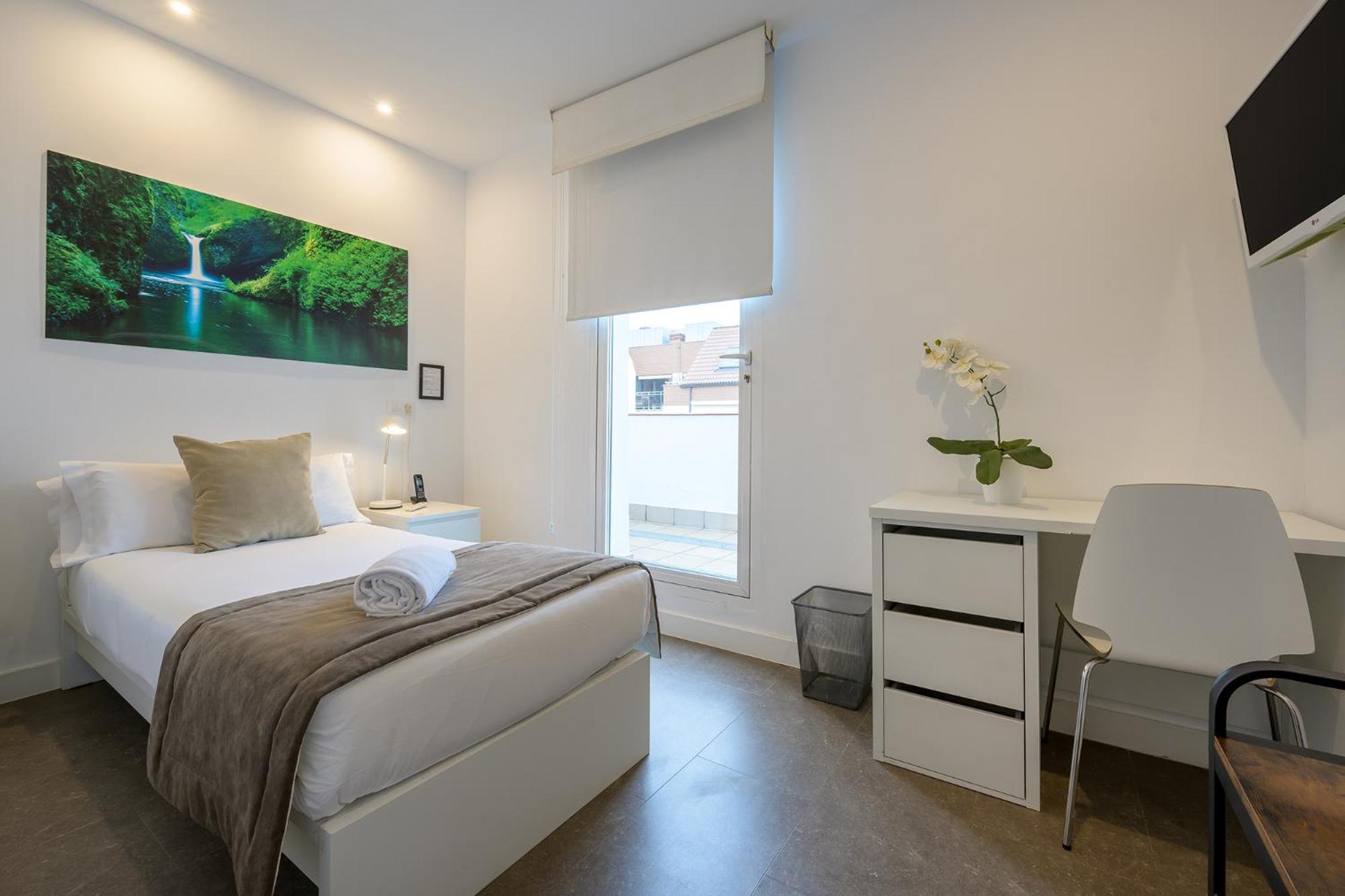 Superior Single Room with Terrace