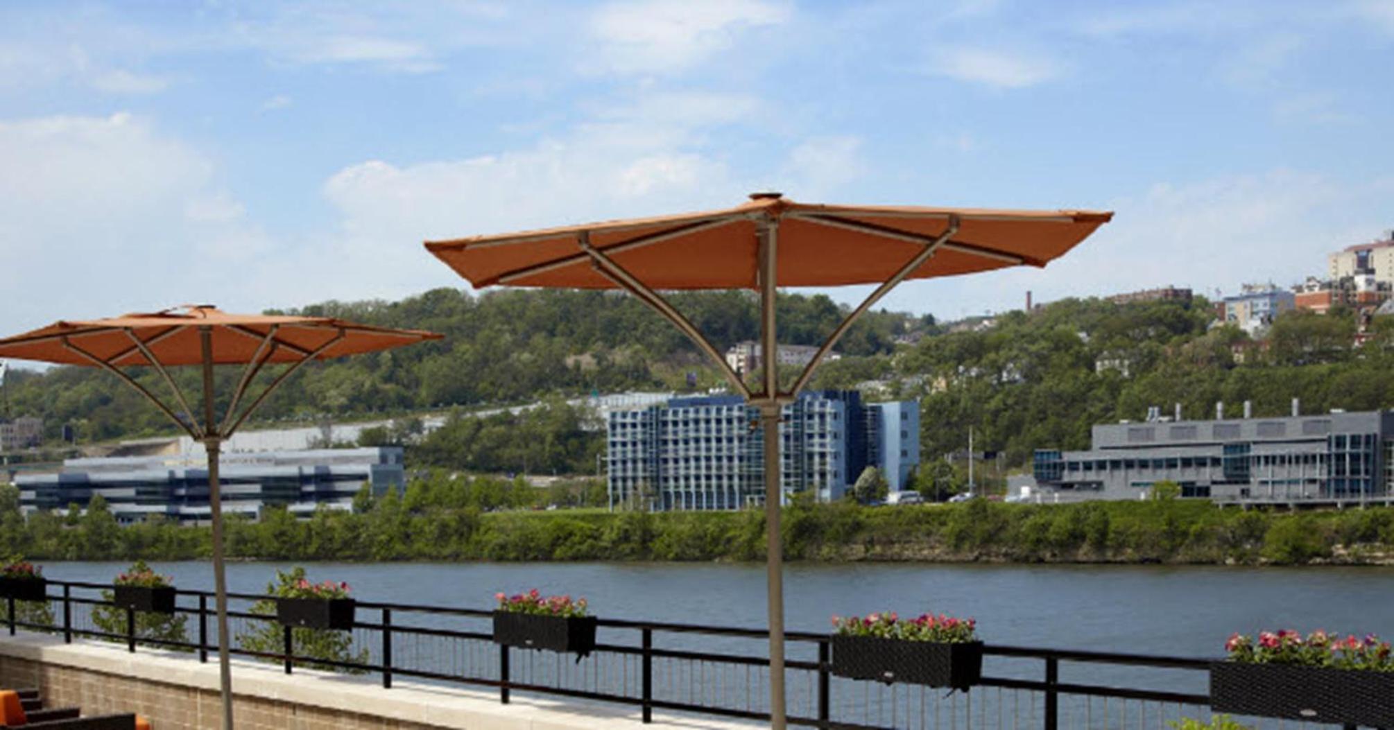 King Studio with View