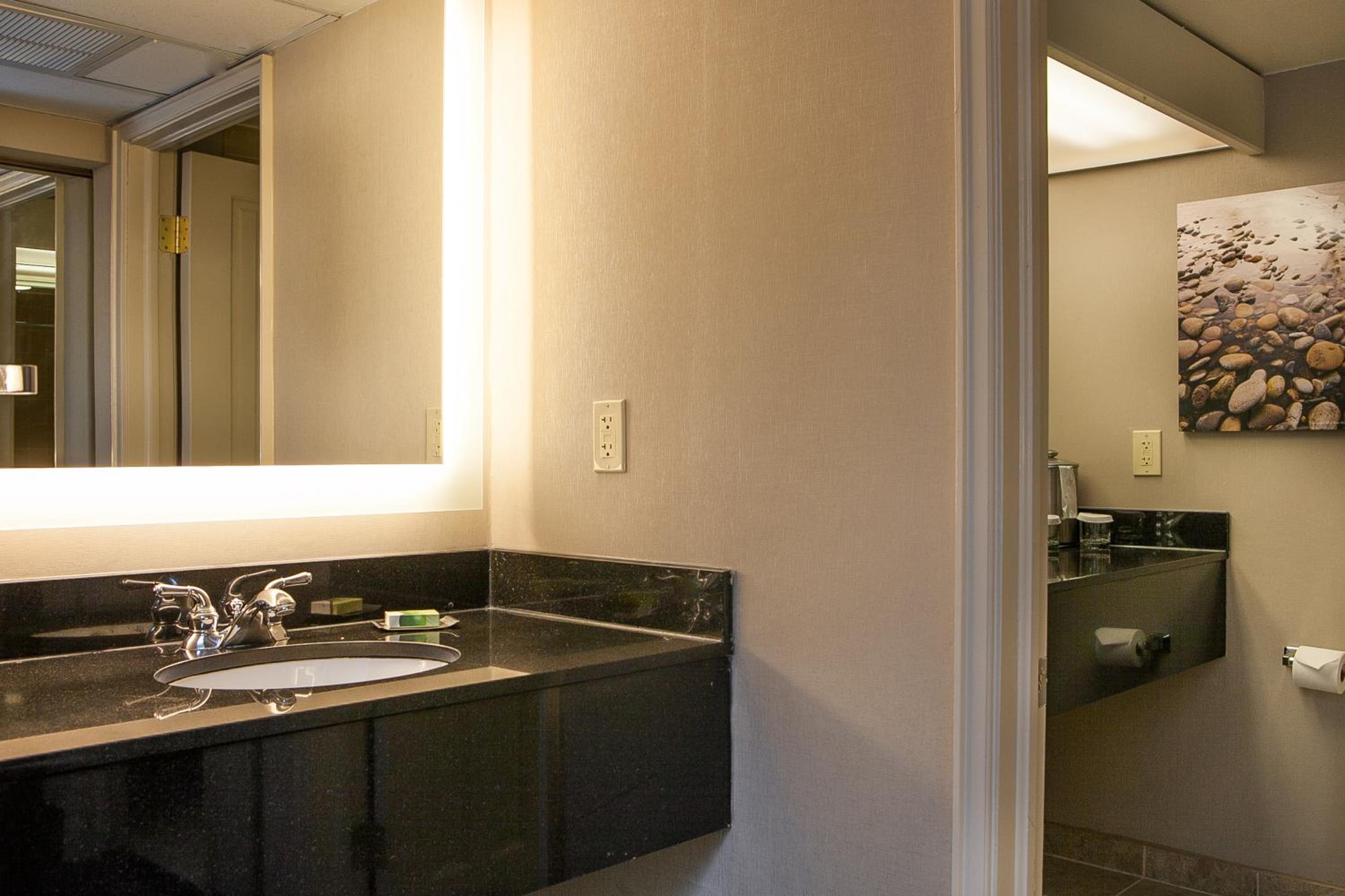 King Room with Sofa Bed and Living Room and Shower - Non-Smoking