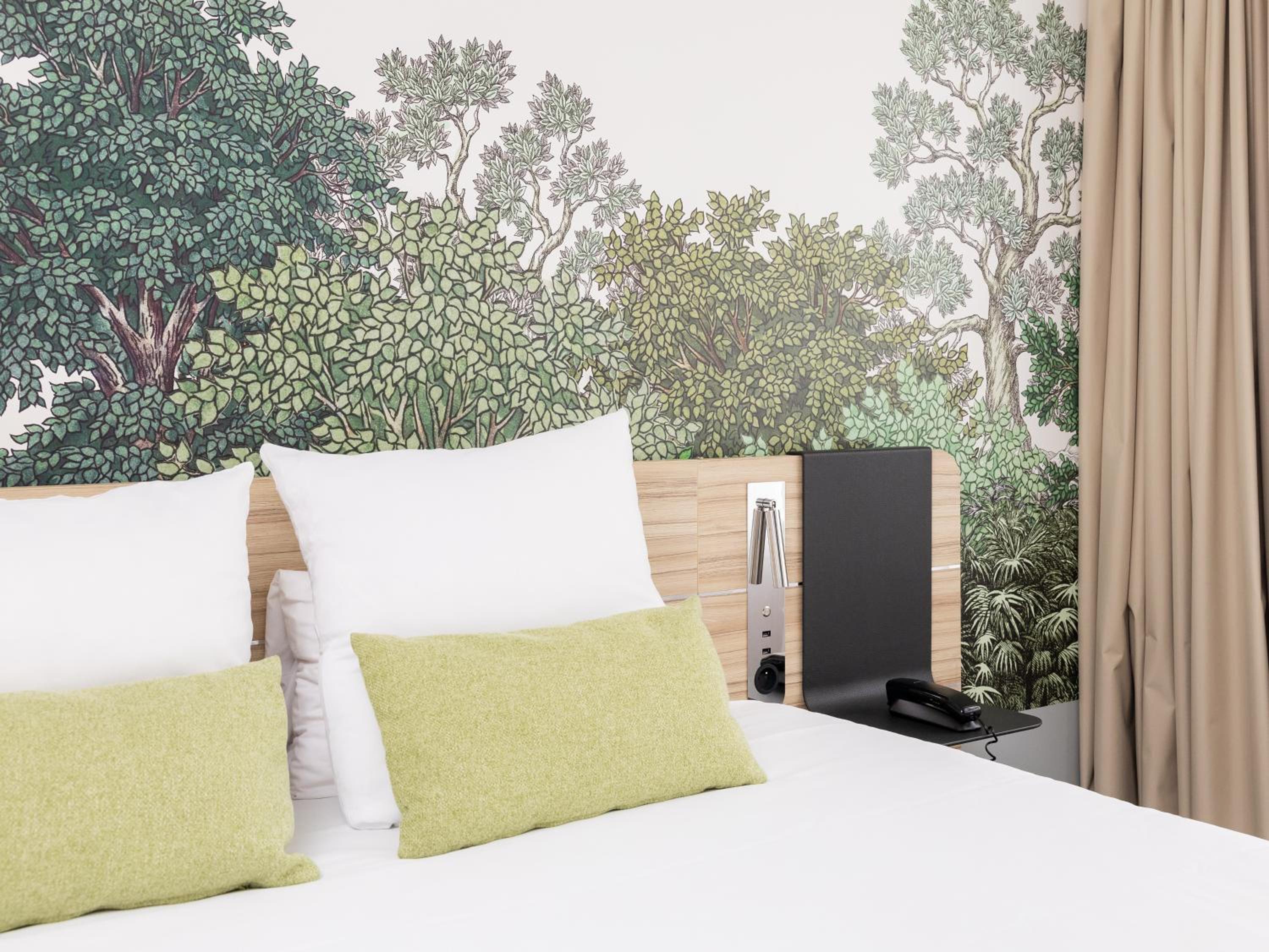 Superior Apartment - Non-Smoking